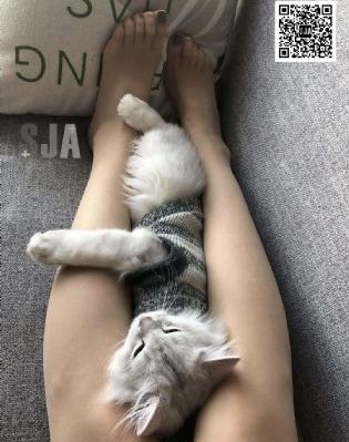 黄色一级免费大片_国产剧神马影院在线